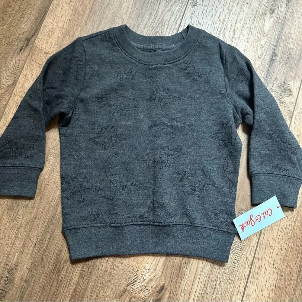 NWT! Cat & Jack Toddler Gray Sweatshirt and Pants Set, Dinosaurs, T-Rex, 18m